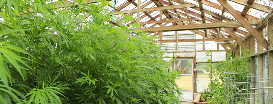 Security Solutions for Apartments in Maryville, TN